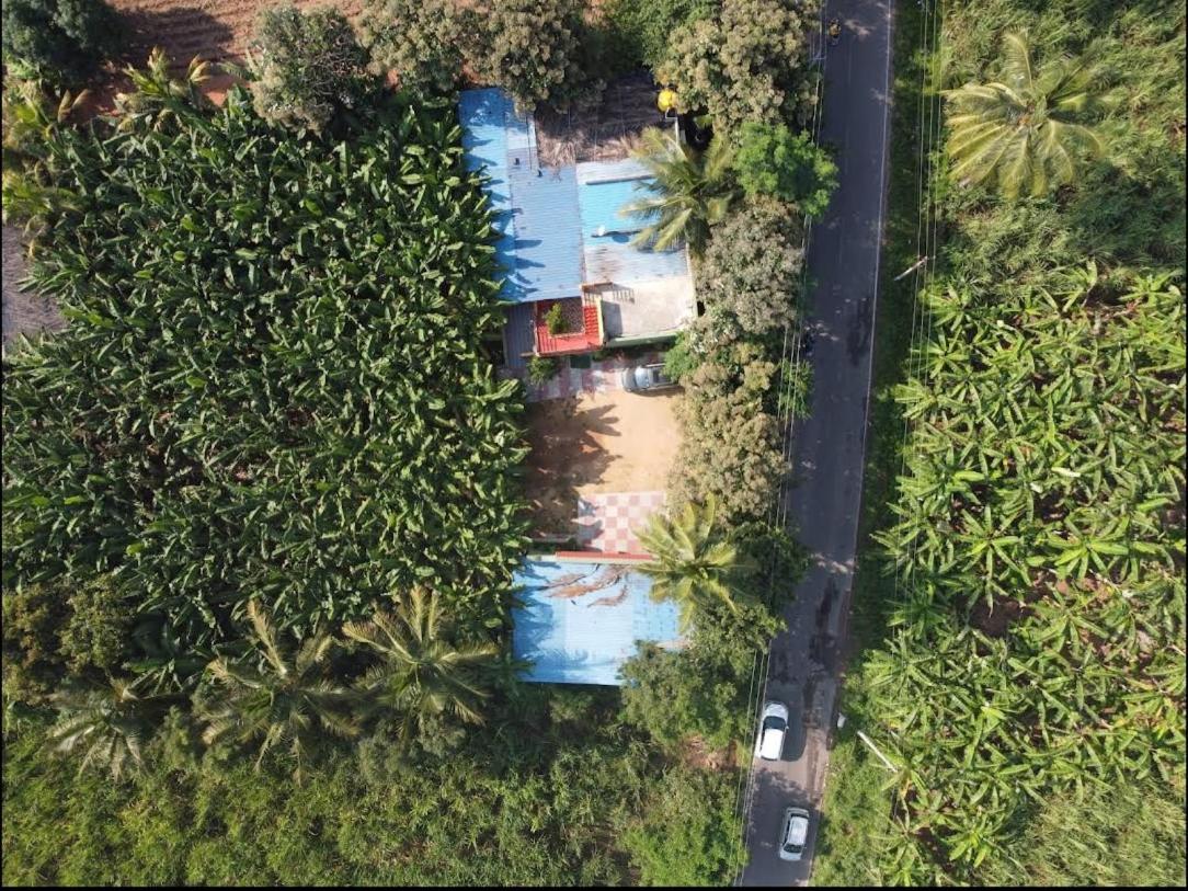 Banana Farm House Hampi Luaran gambar