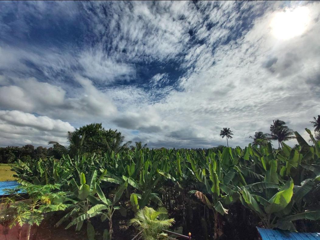 Banana Farm House Hampi Luaran gambar