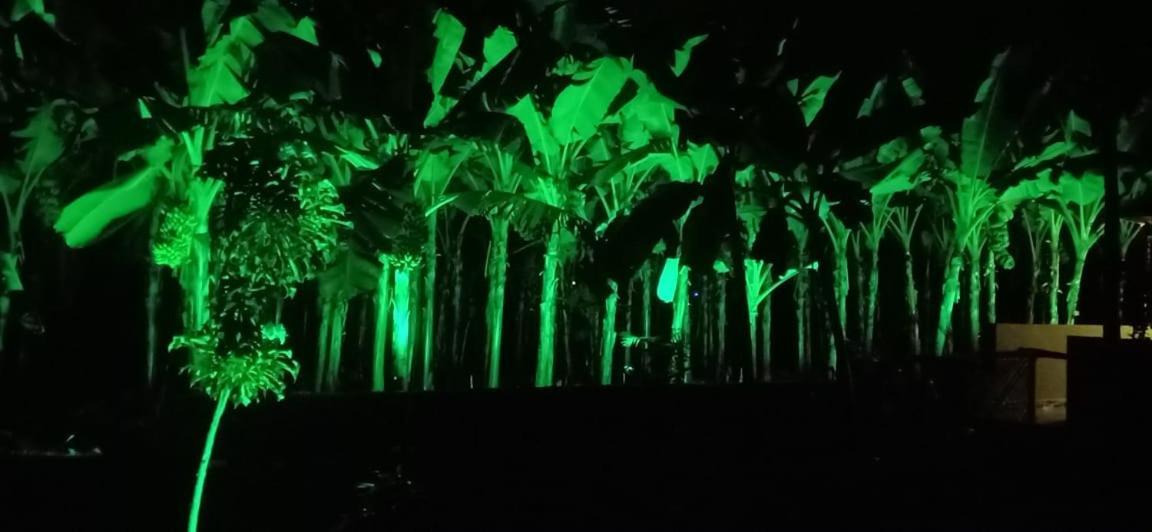 Banana Farm House Hampi Luaran gambar
