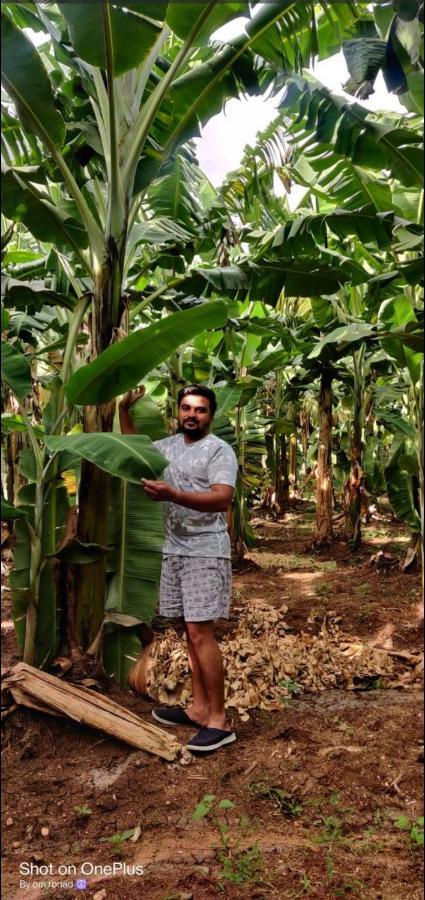 Banana Farm House Hampi Luaran gambar